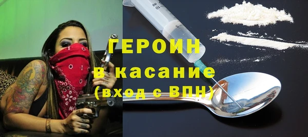 прущие грибы Елабуга