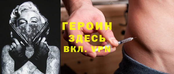 прущие грибы Елабуга