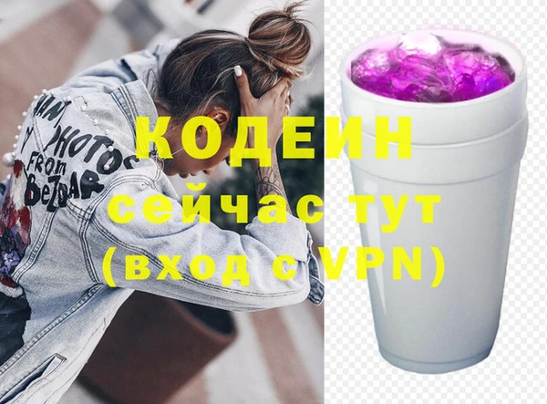 прущие грибы Елабуга