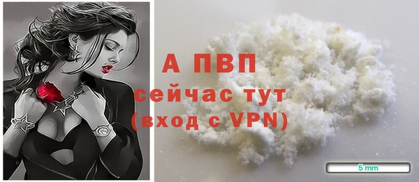 прущие грибы Елабуга