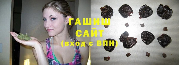 прущие грибы Елабуга