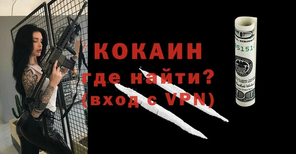 прущие грибы Елабуга
