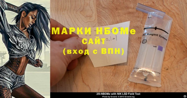 прущие грибы Елабуга