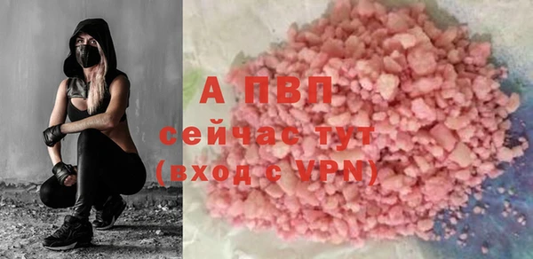 прущие грибы Елабуга