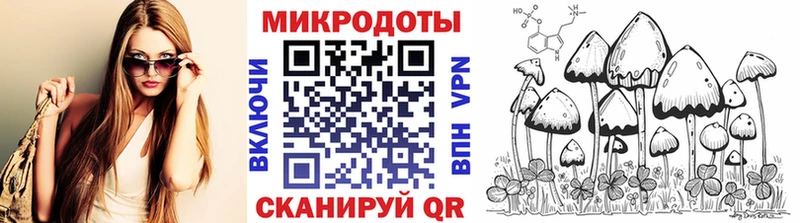 Псилоцибиновые грибы мицелий  купить наркотики сайты  Новошахтинск 